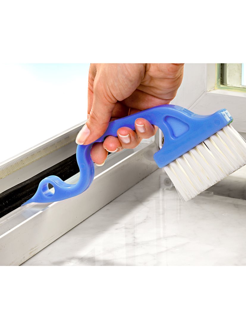 Cepillo de limpieza – Ordeno tu casa