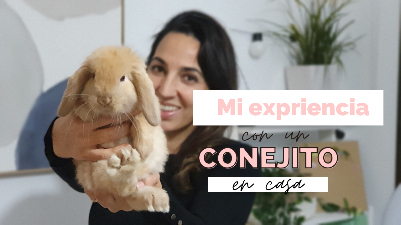 MI EXPERIENCIA CON UN CONEJO